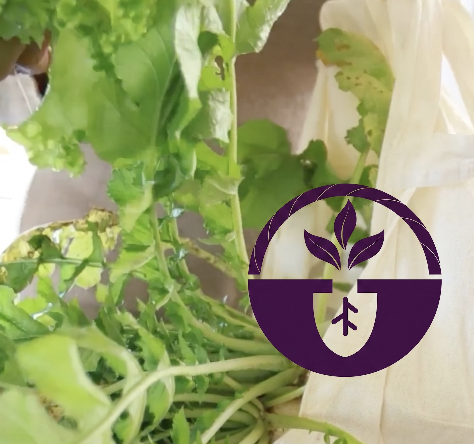 Agri-food venture @ Kairos